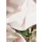 Миниатюрная цветочная композиция для украшения интерьера. Фарфор, роспись, ручная работа. Staffordshire, Великобритания, 1970-е гг.. вид 4