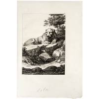 Лев, лежащий на скале. Офорт. Франция, конец 19 века