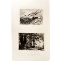 Стая гусей. Олень в лесу. Два офорта на одном листе. Англия, вторая половина 19 века