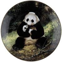 Декоративная тарелка настенная "Панда", фарфор, винтаж, WS George, США, 1991 год