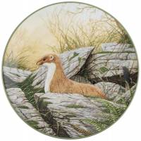 Декоративная тарелка "Горностай начеку". Винтажный фарфор Royal Doulton, Англия, 1988 год