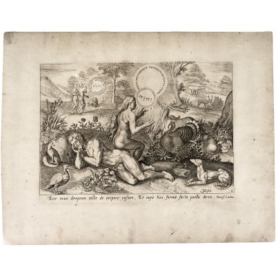 Хаделер. "Адам и Ева в раю".  Резцовая гравюра, Голландия, около 1600 г.