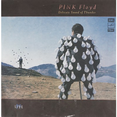Виниловая пластинка Pink Floyd - Delicate sound of thunder 2LP. Мелодия. СССР