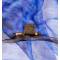 Roberto Cavalli Шарф женский. Цвет: синий. Шелк 100%, 170 Х 65 см. Roberto Cavalli, Италия. вид 6