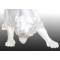 Статуэтка "Ягуар", для украшения интерьера. Литьевой мрамор, ручная работа.  Высота 14 см. Pelekis, Греция, 2012 год. вид 3