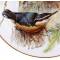 Урсула Бэнд "Корсиканский поползень", декоративная тарелка. Фарфор, деколь, золочение 22 К золотом. Tirschenreuth WWF, Германия, 1986 год. вид 2