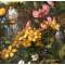 Ганс Граб "У водопада", декоративная тарелка. Фарфор, деколь с  подрисовкой. Furstenberg, Германия, 1990 год. вид 2