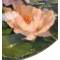 Хан Видаль "Спящий лотос", декоративная тарелка. Фарфор, деколь, золочение. Royal Doulton, Великобритания, 1976 год. вид 2