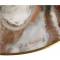 Франциско Массерия "Панчито", декоративная тарелка. Фарфор, деколь, золочение. Royal Doulton, Великобритания, 1980 год. вид 2