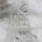 Lladro. Статуэтка "Кошка". Фарфор, ручная роспись. Высота 13 см. Nao для Lladro, Испания (Валенсия), 1960-е гг.. вид 3