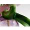 Колокольчик коллекционный "Орхидея". Фарфор, роспись, стекло. The Franklin Mint, США, 1980-е гг.. вид 5