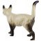 Статуэтка "Сиамская кошка", Фарфор, Высота 16 см, Coopercraft, Англия, винтаж, вторая половина 20 века. вид 3