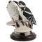 Статуэтка винтажная "Дятел". Высота 11 см. Композит, Eaglemoss, Англия, 2002. вид 3